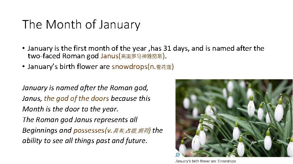 The Month of January • January is the first month of the year ,