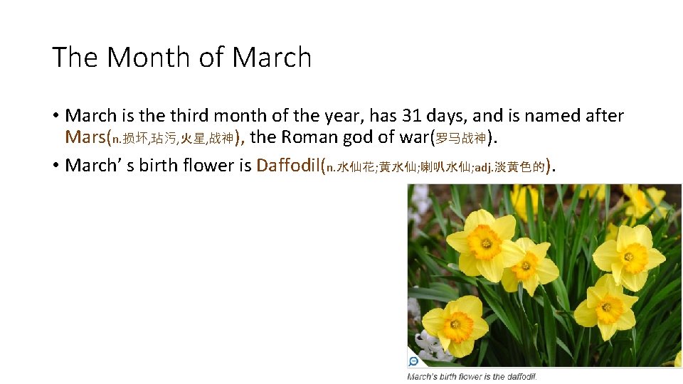 The Month of March • March is the third month of the year, has