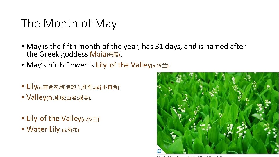 The Month of May • May is the fifth month of the year, has