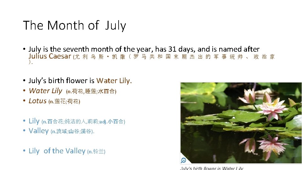 The Month of July • July is the seventh month of the year, has