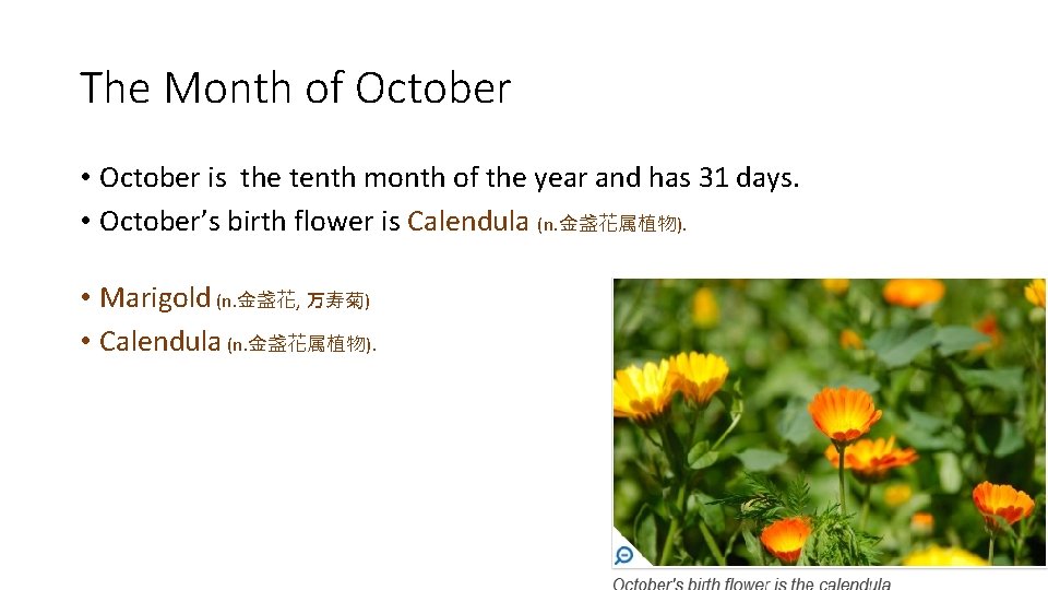 The Month of October • October is the tenth month of the year and