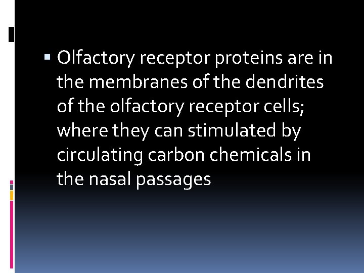  Olfactory receptor proteins are in the membranes of the dendrites of the olfactory