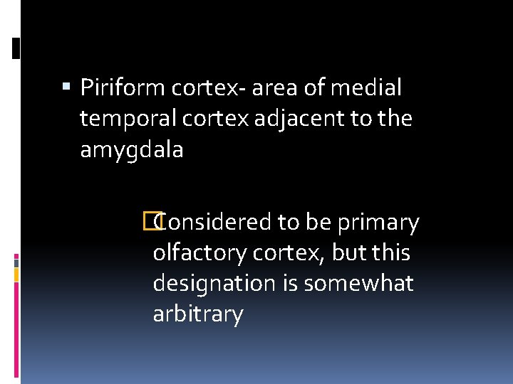  Piriform cortex- area of medial temporal cortex adjacent to the amygdala � Considered