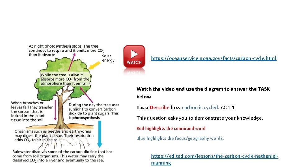 https: //oceanservice. noaa. gov/facts/carbon-cycle. html Watch the video and use the diagram to answer