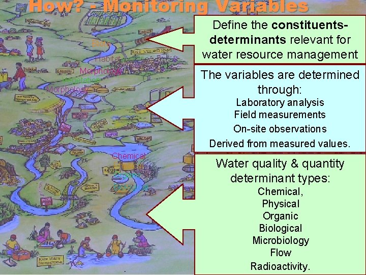 How? - Monitoring Variables Habitat Define the constituentsdeterminants relevant for water resource management Morphology How? - Monitoring Variables Habitat Define the constituentsdeterminants relevant for water resource management Morphology