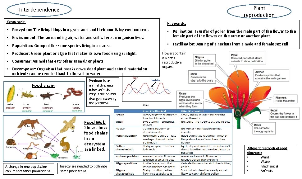 Plant reproduction Interdependence Keywords: • Ecosystem: The living things in a given area and