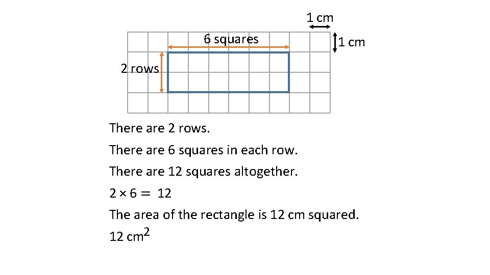 1 cm 6 squares 1 cm 2 rows There are 2 rows. There are
