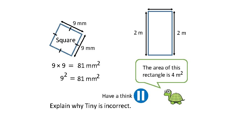 9 mm 2 m Square 2 m 9 mm 9 × 9 = 81