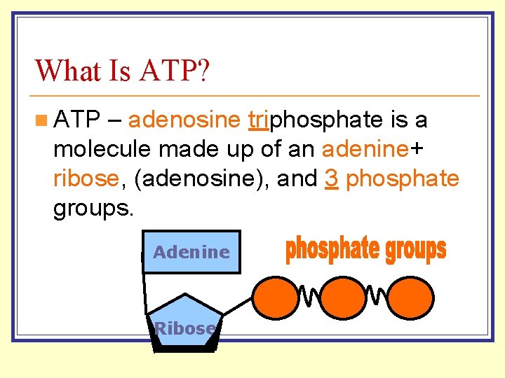 What Is ATP? n ATP – adenosine triphosphate is a molecule made up of