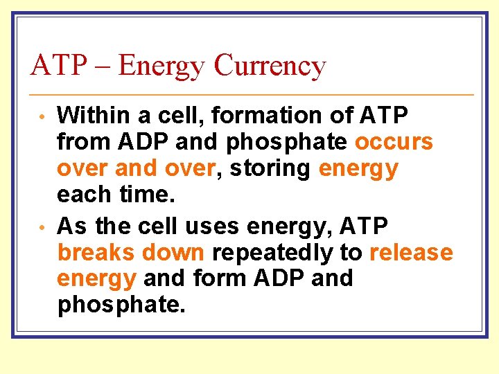 ATP – Energy Currency • • Within a cell, formation of ATP from ADP