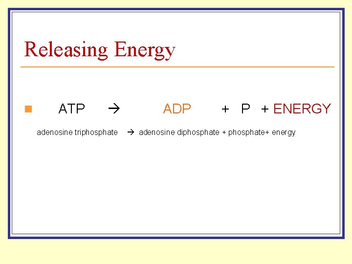 Releasing Energy n ATP adenosine triphosphate ADP + ENERGY adenosine diphosphate + phosphate+ energy