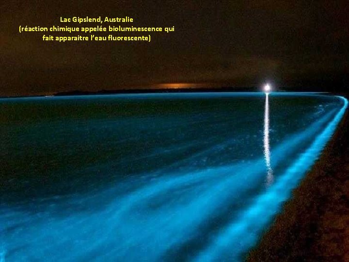 Lac Gipslend, Australie (réaction chimique appelée bioluminescence qui fait apparaitre l’eau fluorescente) 