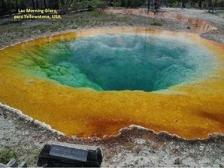 Lac Morning Glory, parc Yellowstone, USA. 