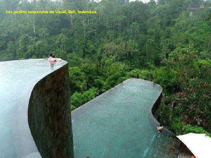 Les jardins suspendus de Ubud, Bali, Indonésie 