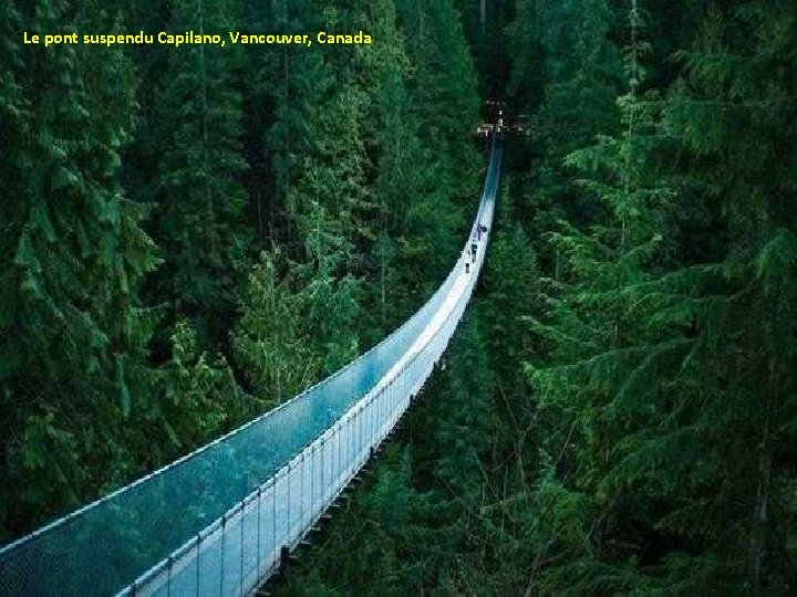 Le pont suspendu Capilano, Vancouver, Canada 