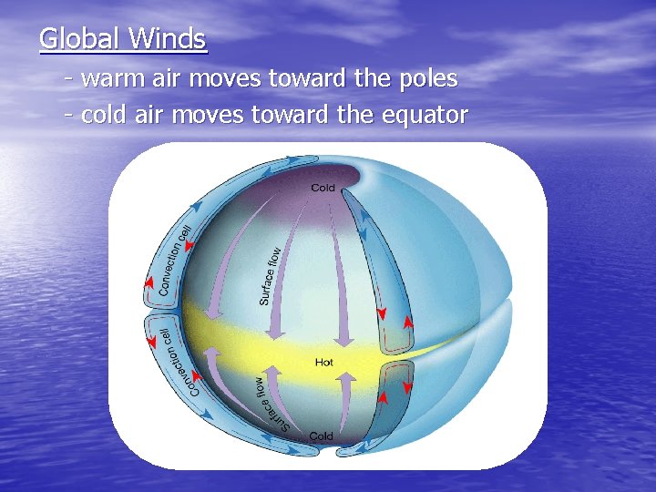 Global Winds - warm air moves toward the poles - cold air moves toward