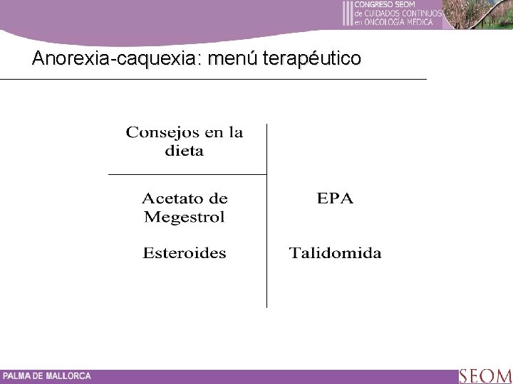 Anorexia-caquexia: menú terapéutico 