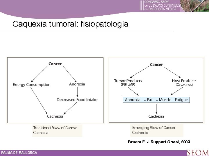 Caquexia tumoral: fisiopatología Bruera E. J Support Oncol, 2003 