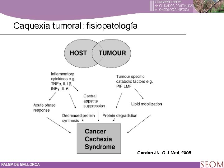 Caquexia tumoral: fisiopatología Gordon JN. Q J Med, 2005 