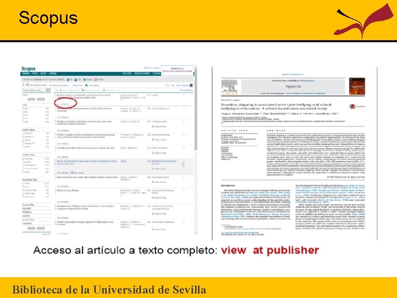 Scopus Biblioteca de la Universidad de Sevilla 