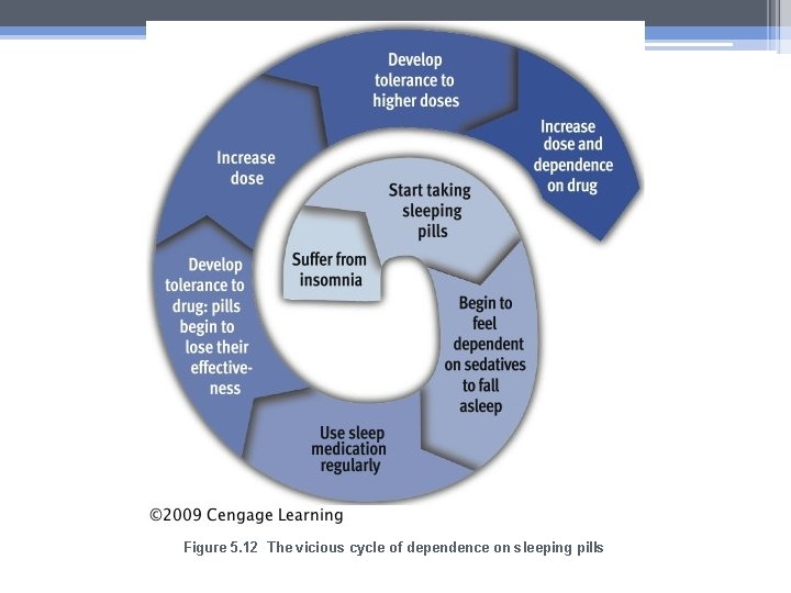Figure 5. 12 The vicious cycle of dependence on sleeping pills 