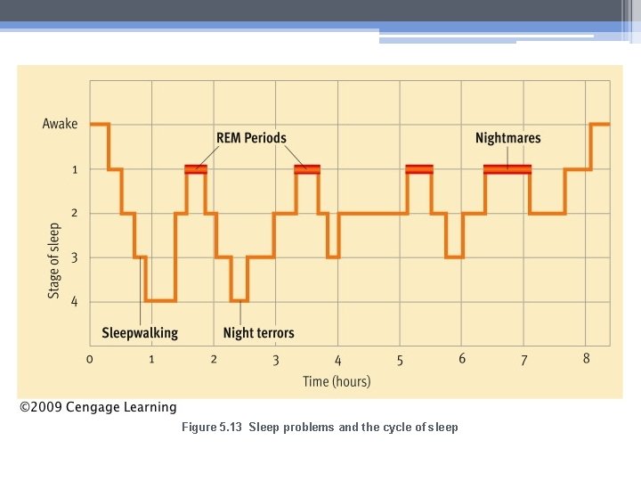 Figure 5. 13 Sleep problems and the cycle of sleep 