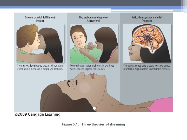 Figure 5. 15 Three theories of dreaming 