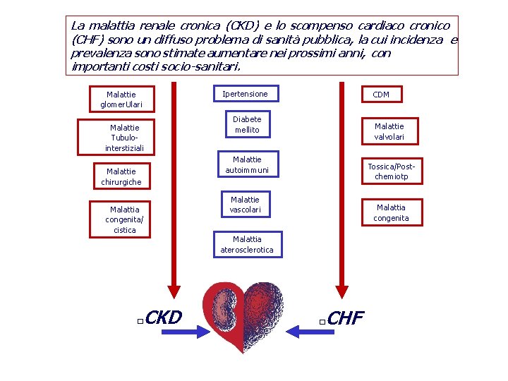 La malattia renale cronica (CKD) e lo scompenso cardiaco cronico (CHF) sono un diffuso