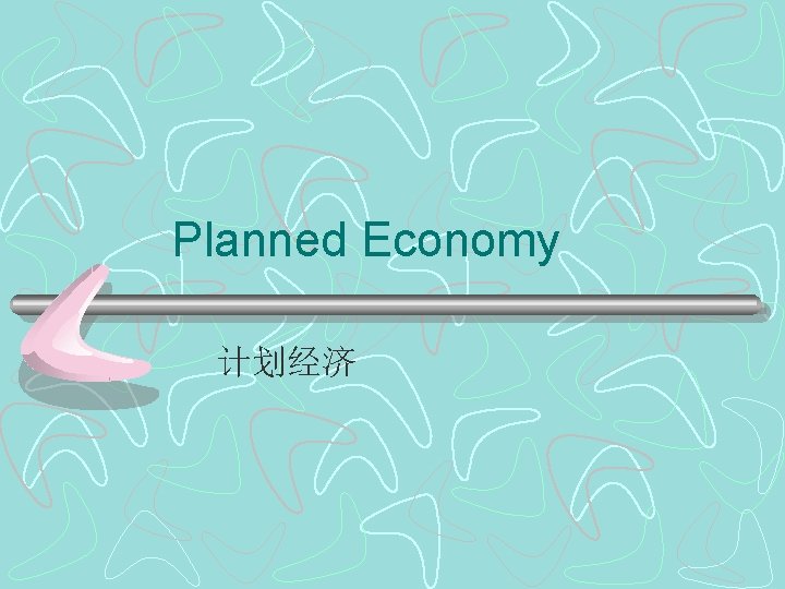 Planned Economy 计划经济 