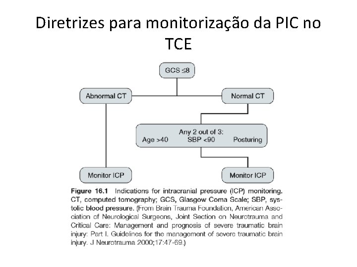 Diretrizes para monitorização da PIC no TCE 