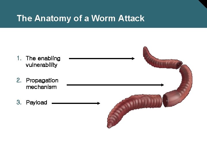 The Anatomy of a Worm Attack 1. The enabling vulnerability 2. Propagation mechanism 3.