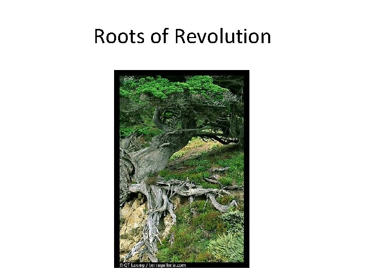 Roots of Revolution 