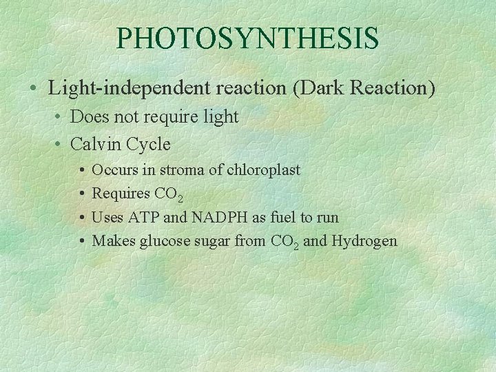 PHOTOSYNTHESIS • Light-independent reaction (Dark Reaction) • Does not require light • Calvin Cycle