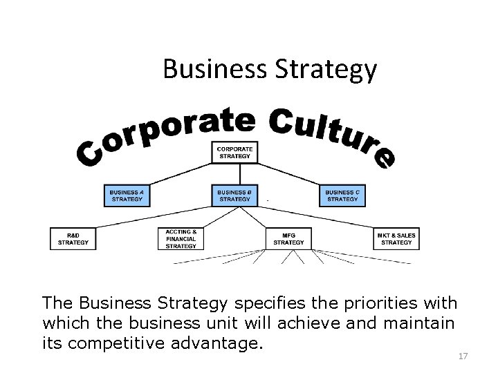 Business Strategy The Business Strategy specifies the priorities with which the business unit will