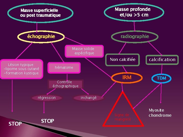 Masse profonde et/ou >5 cm Masse superficielle ou post traumatique échographie radiographie Masse solide