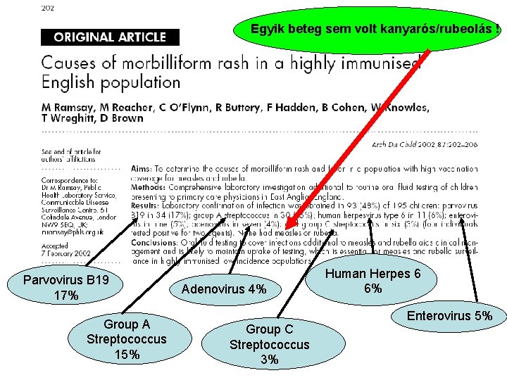 Egyik beteg sem volt kanyarós/rubeolás ! Parvovirus B 19 17% Group A Streptococcus 15%