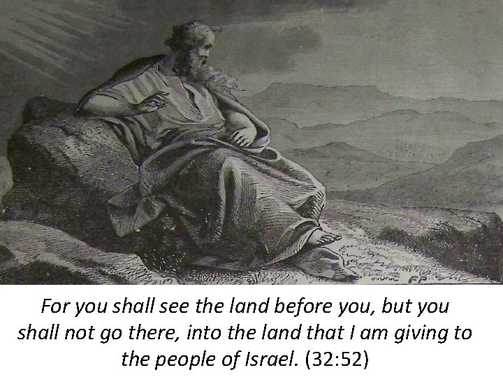 For you shall see the land before you, but you shall not go there,