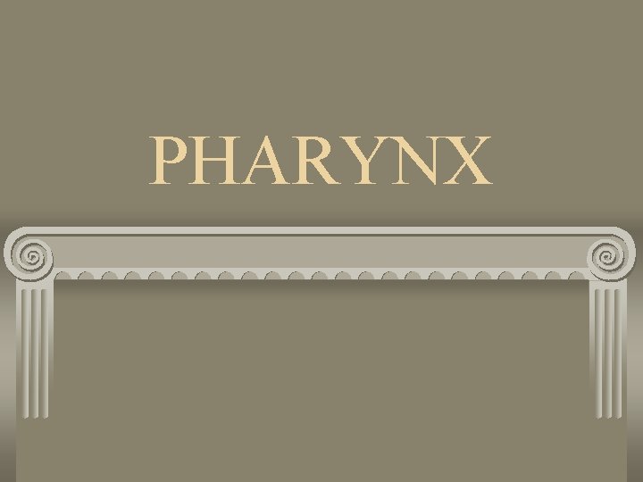 PHARYNX 