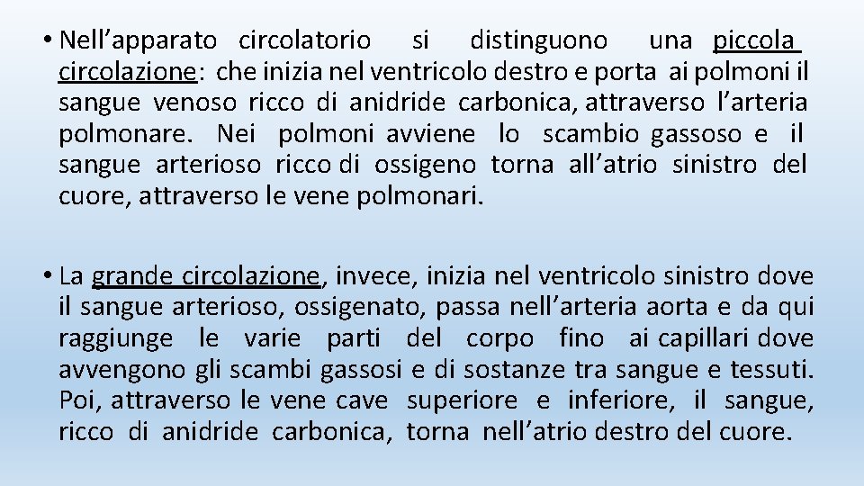  • Nell’apparato circolatorio si distinguono una piccola circolazione: che inizia nel ventricolo destro