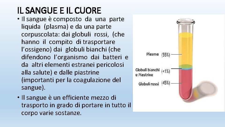 IL SANGUE E IL CUORE • Il sangue è composto da una parte liquida