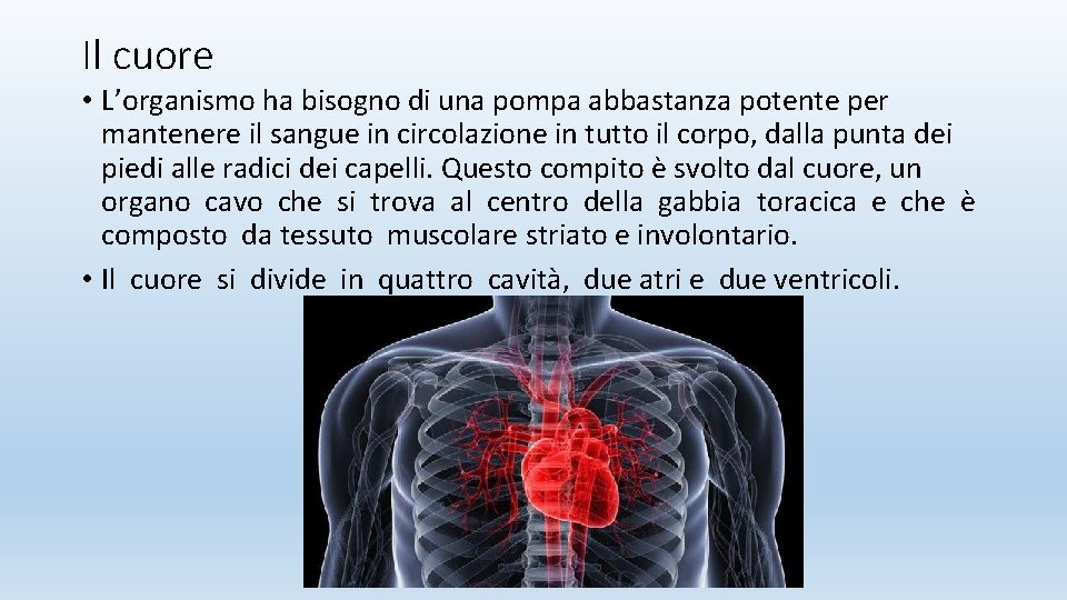 Il cuore • L’organismo ha bisogno di una pompa abbastanza potente per mantenere il