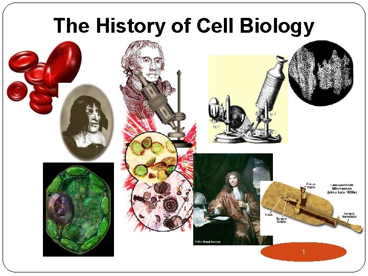 The History of Cell Biology 1 