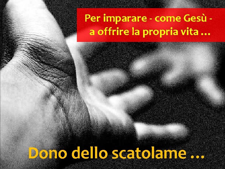 Per imparare - come Gesù a offrire la propria vita … Dono dello scatolame