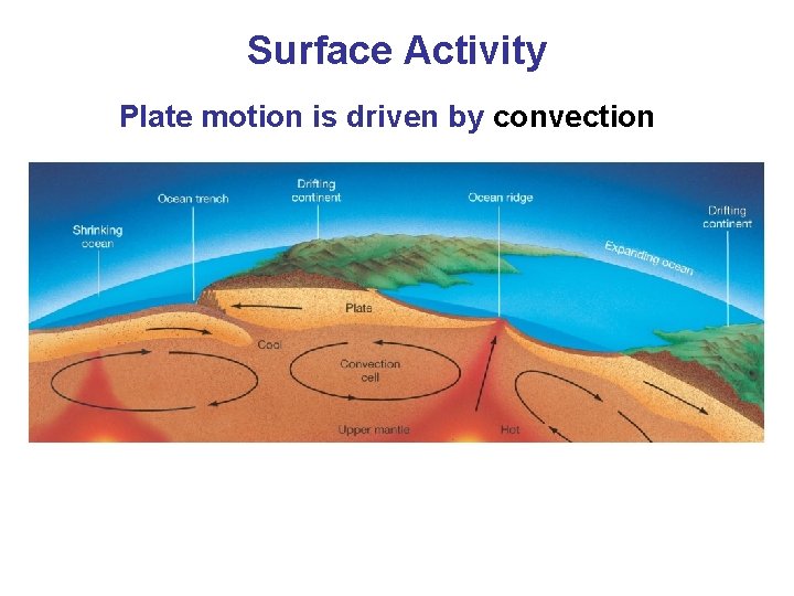 Surface Activity Plate motion is driven by convection 