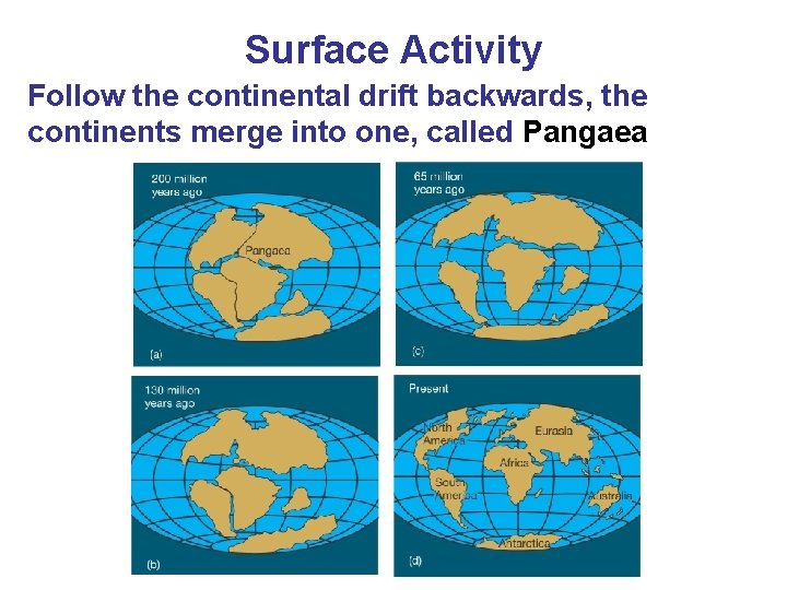 Surface Activity Follow the continental drift backwards, the continents merge into one, called Pangaea