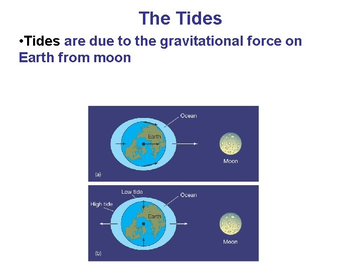 The Tides • Tides are due to the gravitational force on Earth from moon