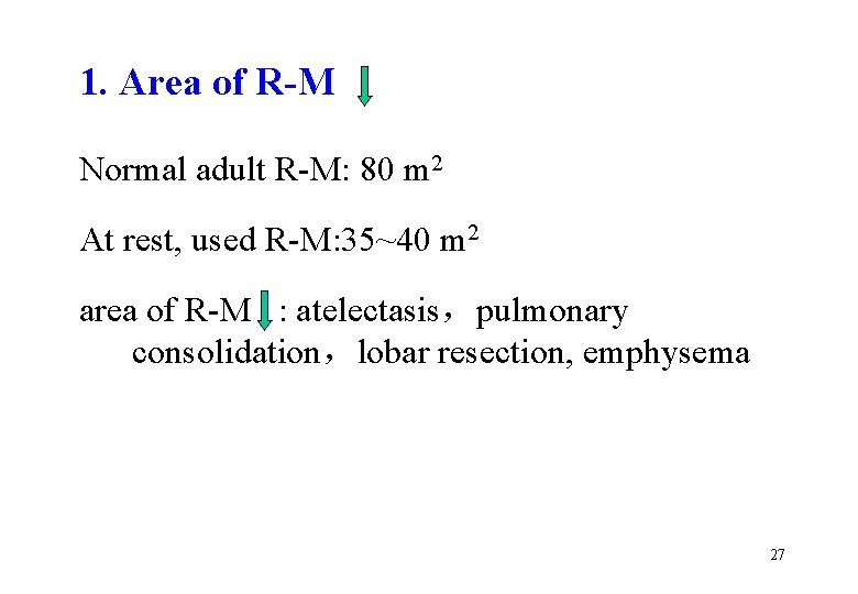 1. Area of R-M Normal adult R-M: 80 m 2 At rest, used R-M: