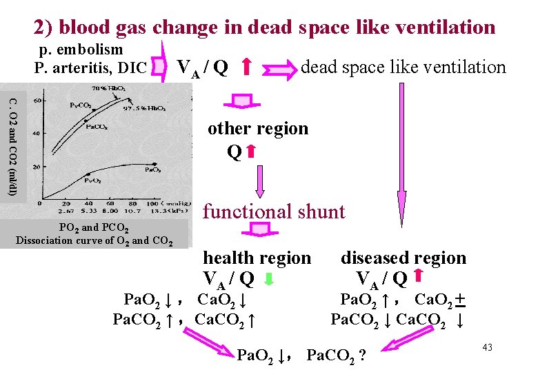 2) blood gas change in dead space like ventilation p. embolism P. arteritis, DIC