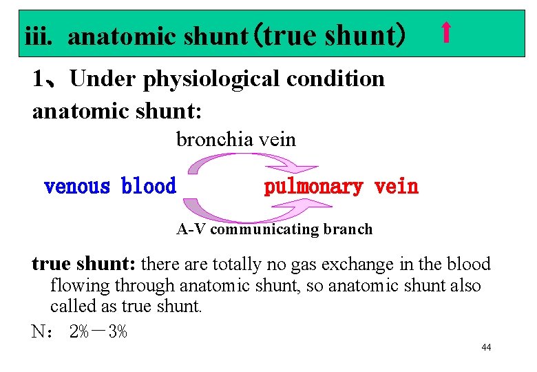 iii. anatomic shunt(true shunt) 1、Under physiological condition anatomic shunt: bronchia vein venous blood pulmonary