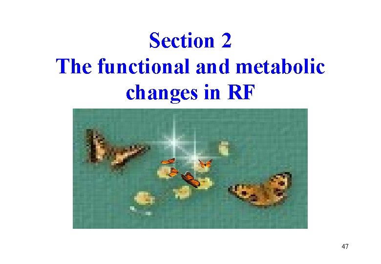 Section 2 The functional and metabolic changes in RF 47 